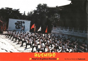 bruceploitation-collector_Bruce Le_bushido_-_kampf_um_die_goldenen_reisschalen_01._bild