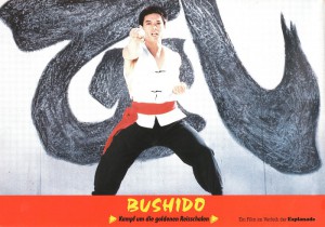 bruceploitation-collector_Bruce Le_bushido_-_kampf_um_die_goldenen_reisschalen_02._bild